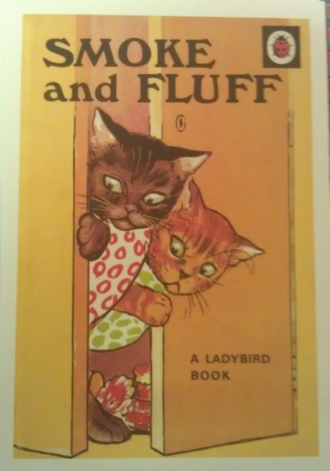 Ladybird book - Smoke And Fluff